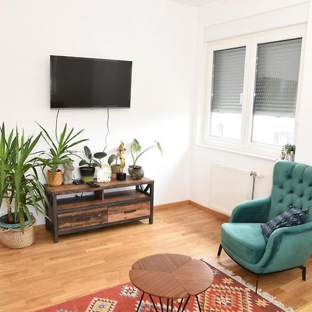 Avenija Oaza Apartment Novi Sad Bagian luar foto
