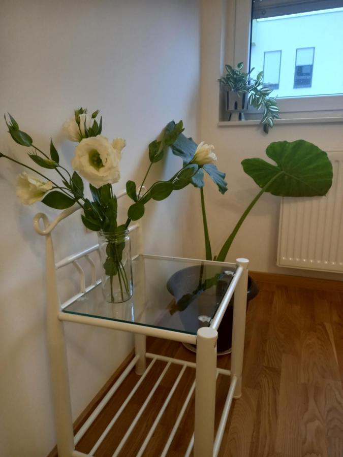 Avenija Oaza Apartment Novi Sad Bagian luar foto