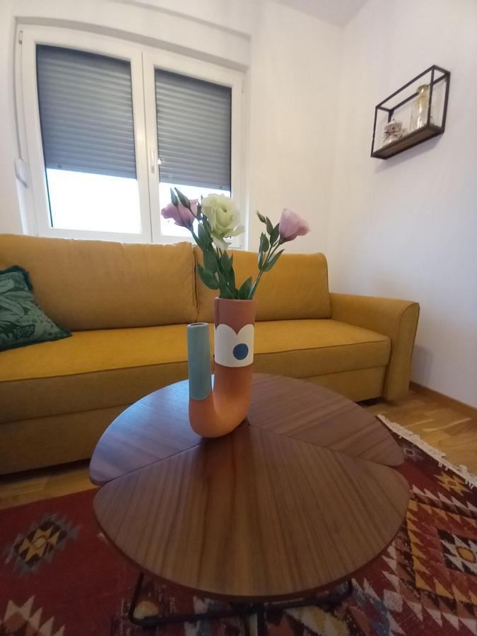 Avenija Oaza Apartment Novi Sad Bagian luar foto