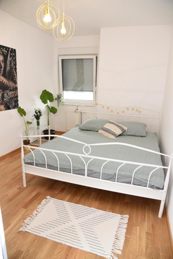 Avenija Oaza Apartment Novi Sad Bagian luar foto
